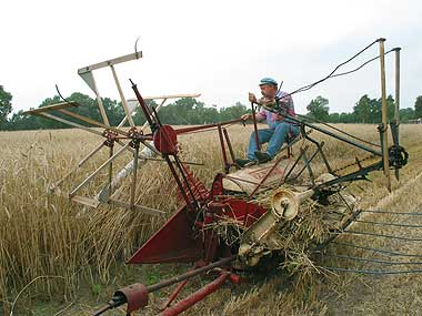 Wilfried Prahm  bei der Arbeit auf dem Mähbinder
