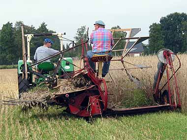 Wilfried Prahm auf dem Mähbinder, gezogen von Hans-Jürgen Winterbur